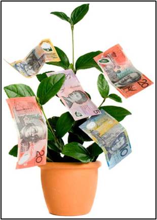 money-tree