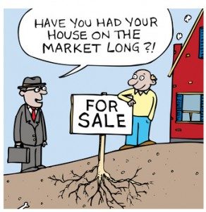 home selling options